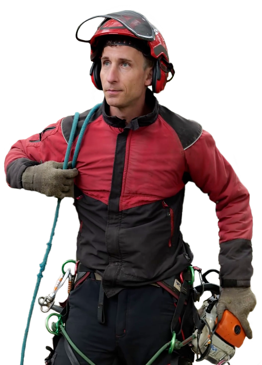 Élagueur en intervention