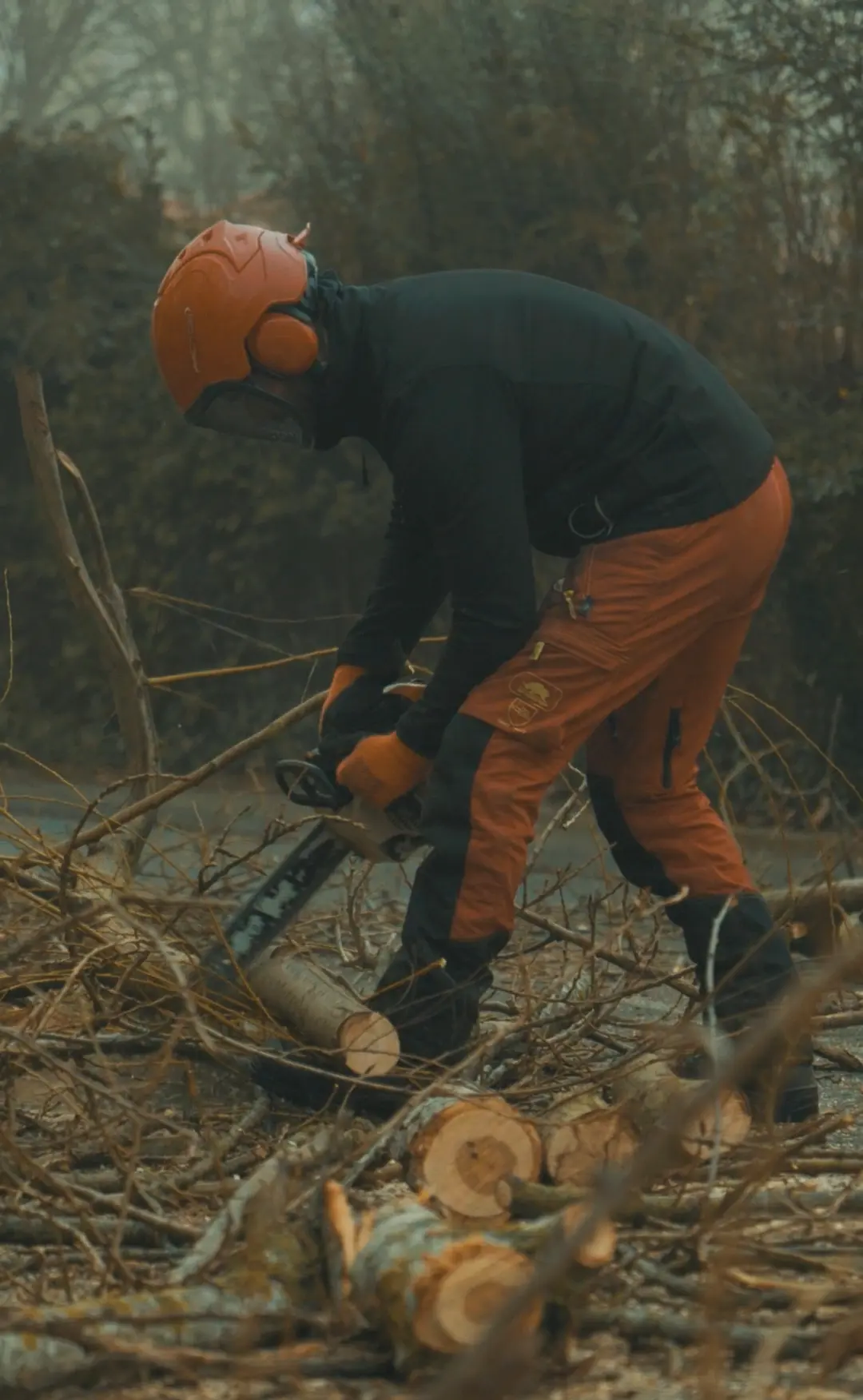 Abattage d'arbres par un professionnel à Toulouse